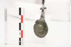 Foto von Bronzeschwert (NHMW-PRAE-024091)